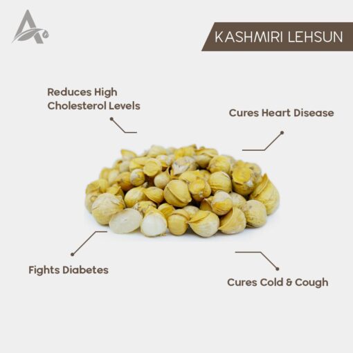 KASHMIRI LEHSUN - SNOW MOUNTAIN GARLIC - ALLIUM SATIVUM - Image 2