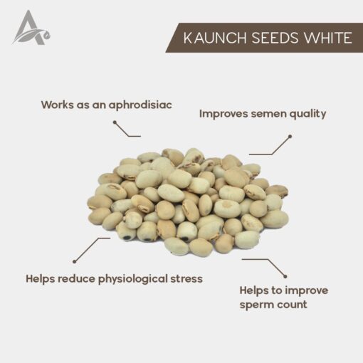 KAUNCH BEEJ SAFED - KAUNCH SEEDS WHITE - KONCH - MUCUNA PRURIENS WHITE - Image 2