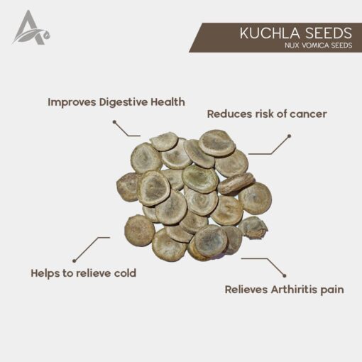 KUCHLA SEEDS - KOOCHLEH - NUX VOMICA SEEDS - Image 2