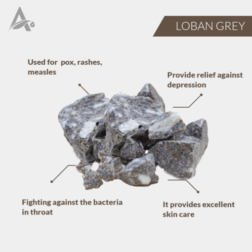 LOBAN GREY - Image 2