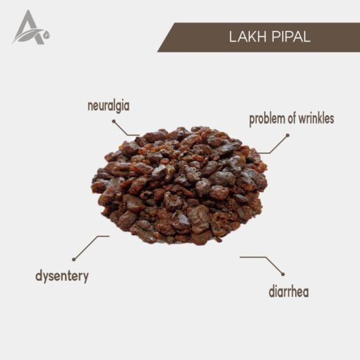 LAKH PIPAL (RED DRY) - LAKH PEEPAL - Image 2