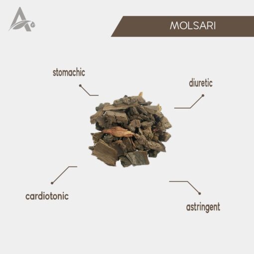 MOLSARI CHHAL - MAULSARI CHAAL - MOLLSIRI BARK - MOULSARI CHILKA - MIMUSOPS ELENGI - Image 2