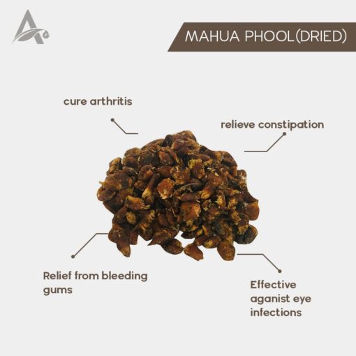 PHOOL MAHUA - MAHUYA FLOWER - MADHUCA INDICA - Image 2