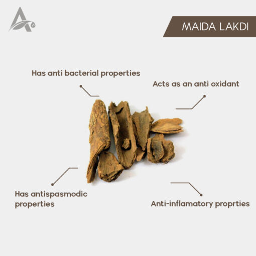 MAIDA LAKDI - MAIDA WOOD - LITSEA GLUTINOSA - Image 2