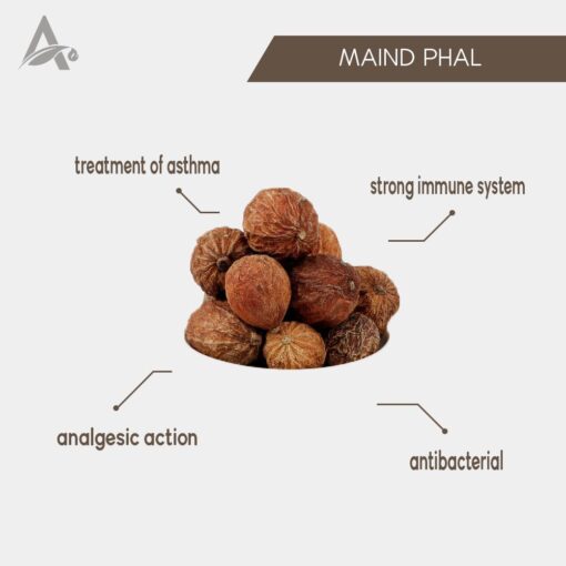 MAIND PHAL - RAHEDE - MEND FAL - MADAN PHAL - EMETIC NUT - RANDIA DUMETORUM - Image 2
