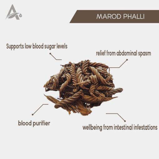 MAROD PHALI - MAROR FALI - MARORI - INDIAN SCREW - AVAITINI SCREW BEANS - HELICTERES ISORA - Image 2