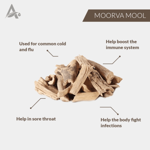 MOORVA MOOL - MURVA MOOL - CHINHAUR - MARSDENIA TENACISSIMA - Image 2