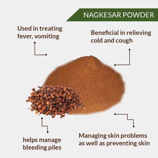 NAGKESAR POWDER - NAGKESAR SEEDS POWDER - MESUA FERREA - COBRA SAFFRON POWDER - CEYLON IRONWOOD - INDIAN ROSE CHESTNUT - OCHROCARPUS LONGIFOLIUS - Image 2