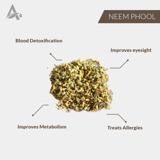 NEEM PHOOL - NEEM FLOWERS - AZADIRACHTA INDICA - Image 2