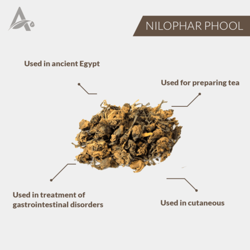 NILOPHAR PHOOL - GUL-E-NILOFAR - NEELOPHAR FLOWER DRIED - WHITE WATER LILY - NYMPHAEA ALBA - Image 2