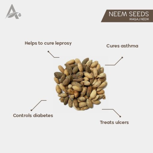 NEEM BEEJ - NIMBOLI - NEEM PHAL - NEEM GIRI - NEEM SEEDS - AZADIRACHTA INDICA - Image 2
