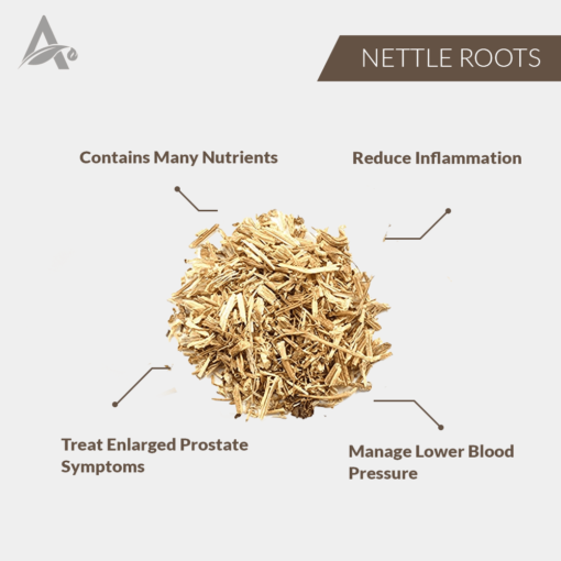 NETTLE ROOTS (TEA CUT) )- BICHU BUTI JADD - SCORPION HERB ROOTS - STINGING NETTLE ROOTS - URTICA DIOICA - Image 2