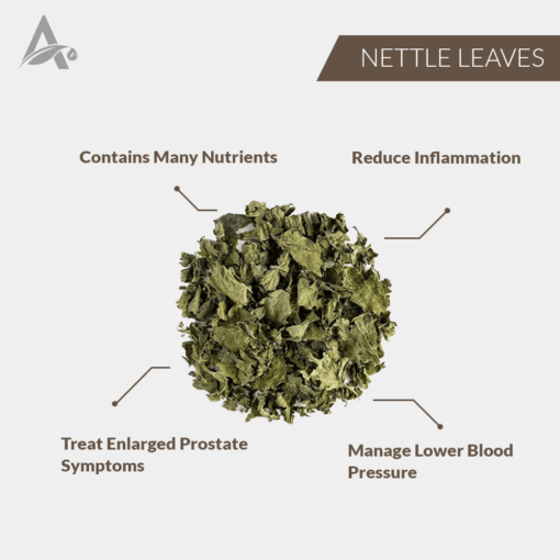NETTLE LEAVES - BICHU BUTI PATTE - SCORPION HERB - STINGING NETTLE - URTICA DIOICA - Image 2