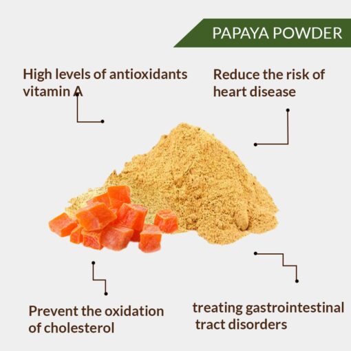 ORGANIC PAPAYA FRUIT POWDER - PAPITA PHAL POWDER - CARICA PAPAYA - Image 2