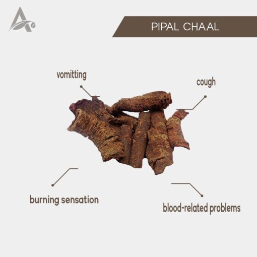 PIPAL CHHAL - PEEPAL BARK - PEEPAL CHAAL - FICUS RELIGIOSA - Image 2