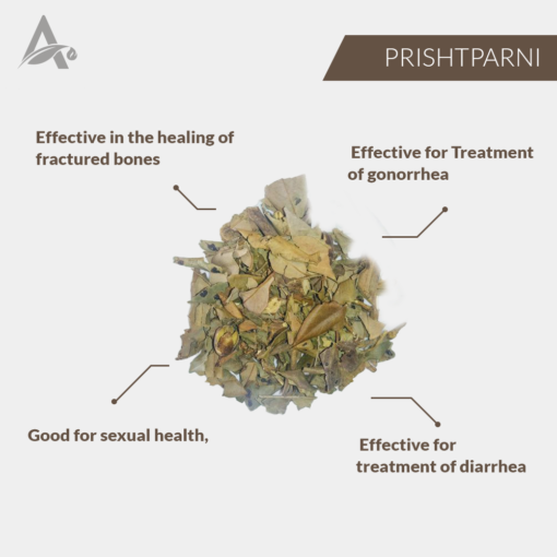 PRISHTPARNI - PRISHAT PARNI - PRISHNAPARNI - PRISHNA PARNI - HEDYSARUM PICTUM - URARIA PICTA - Image 2