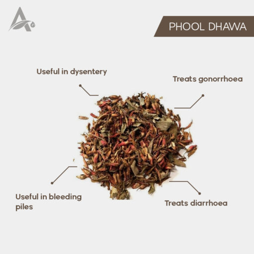 PHOOL DHAWA - DHAYI PHOOL - DHATAKI PHOOL - DHATAKI - DHAWAI FLOWER - WOODFORDIA FRUTICOSA - ANOGEISSUS LATIFOLIA - Image 2