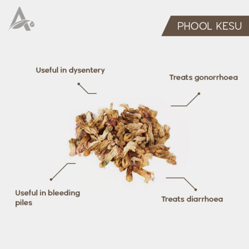 PALASH PHOOL - TESU PHOOL - KESU PHOOL - PHOOL TESU - DHAAK PHOOL - BUTEA MONOSPERMA - Image 2