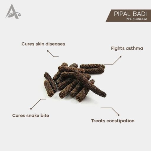 PIPAL BADI - PIPPALI - CHAVYA - LONG PEPPER - PIPER RETROFRACTUM - PIPER LONGUM - Image 2