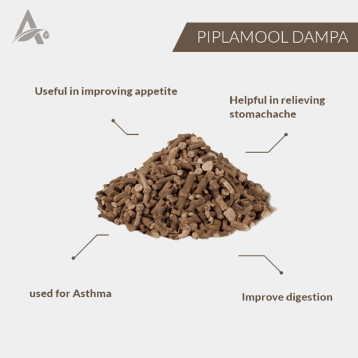 PIPLA MOOL DAMPA - PIPLAMOOL - PEEPLA MOOL - PEEPAL ROOT - Image 2