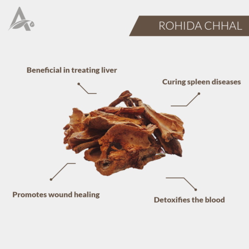 ROHIDA CHHAL - ROHIRA CHAAL - ROHITAK CHHAL - Image 2