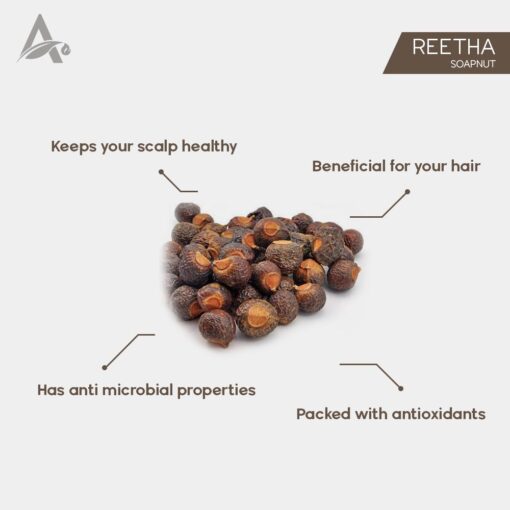 REETHA - RITHA - SOAPNUT - SOAP NUT - ACACIA CONCINNA - SAPINDUS MUKOROSSI - Image 2