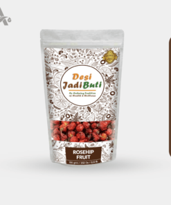 ROSE HIP - ROSEHIPS - ROSEHIP FRUIT - ROSE HAW - ROSE HEP - ROSA CANINA L.