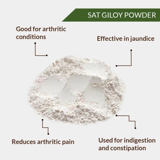 SAT GILOY POWDER - SATT GILOY - SAT GILOH - Image 2