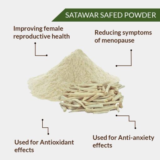 SHATAWARI WHITE POWDER- SITAWAR SAFED POWDER - ASPARAGUS RACEMOSUS - Image 2