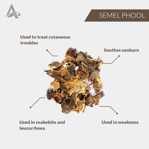 SEMEL PHOOL - SIMBAL PHOOL - SIMBAL FLOWER - BOMBAX MALABARICUM - - Image 2
