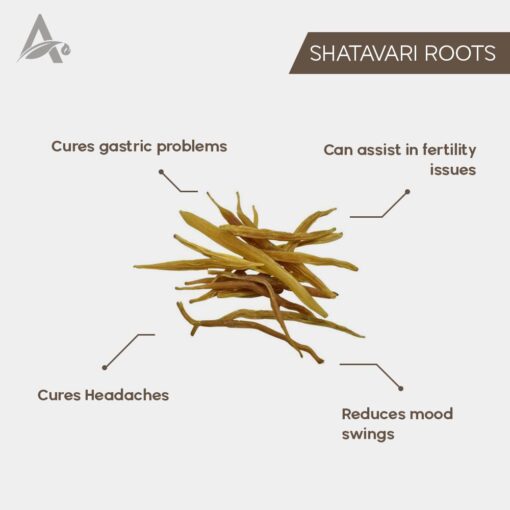 SHATAVAR PILI - SHATAVARI ROOT YELLOW - SITAWAR JADD PILI - ASPARAGUS RACEMOSUS - INDIAN ASPARAGUS - Image 2