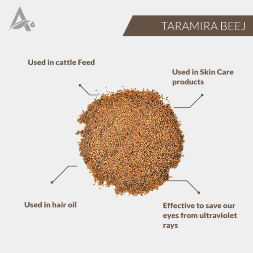 TARAMIRA BEEJ - TARAMIRA SEEDS - TUKHM-E-TARAMIRA - SARISHAPA - ROCKET SEEDS - BRASSICA ERUCA - ERUCA SATIVA - Image 2