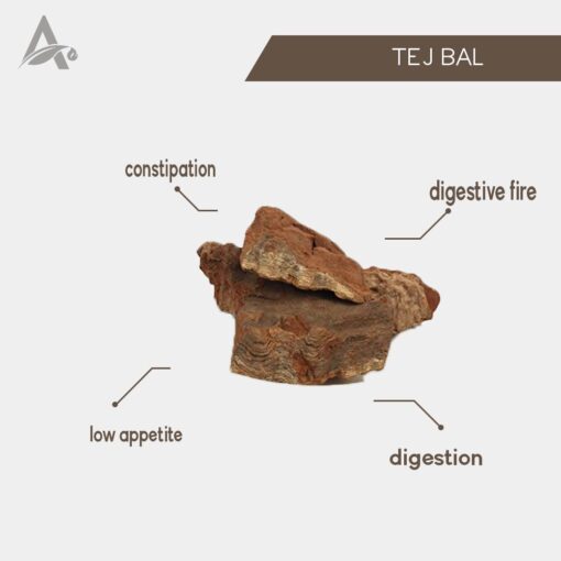 TEJBAL - TEJ BAL - TEJ PHAL - TEJPHAL - ZANTHOXYLUM ARMATUM - Image 2