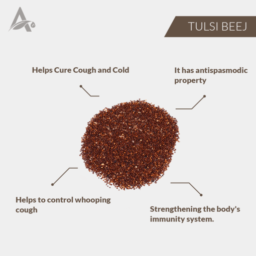 BEEJ TULSI ASLI - TULSI BEEJ - BASIL SEEDS - KRISHNA TULSI SEEDS - OCIMUM SANCTUM - Image 2