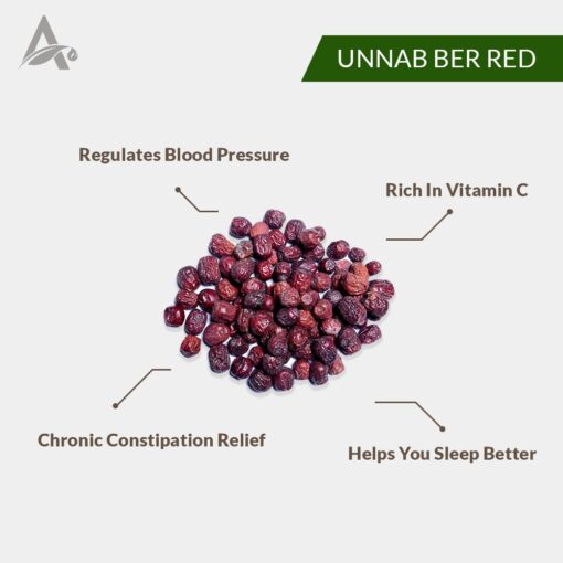 UNNAB BER - JUJUBE - SUKHEY BER - DESI BER - CHINESE DATE - ZIZYPHUS VULGARIS - ZIZYPHUS SATIVA GAETN - Image 2