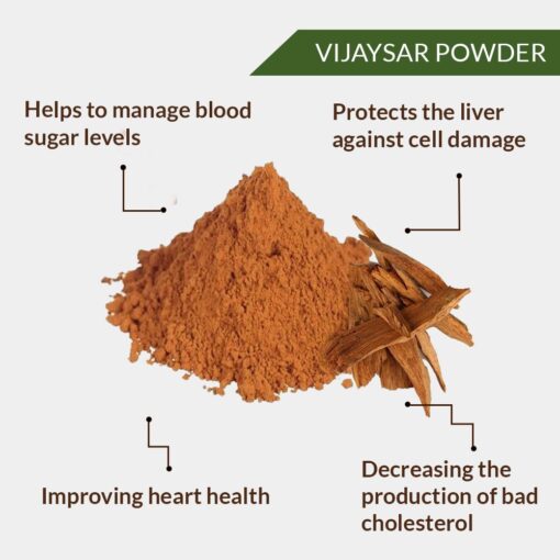 VIJAYSAR POWDER - VIJAYSAAR POWDER - PTEROCARPUS MARSUPIUM - Image 2