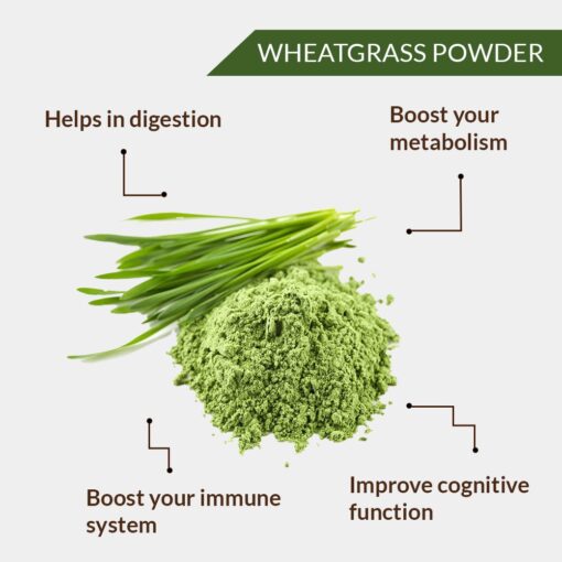 ORGANIC WHEAT GRASS POWDER - WHEATGRASS POWDER - TRITICUM AESTIVUM - THINOPYRUM INTERMEDIUM - Image 2