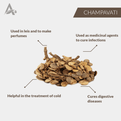 CHAMPAWATI - CHAMPAVATI - PLUMERIA OBTUSA - Image 2